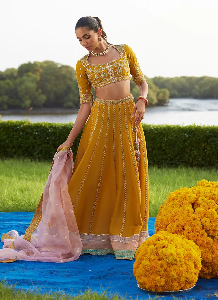 Farah Talib Aziz Mayna Festive Luxe Pret '25 - Zard Lengha Choli