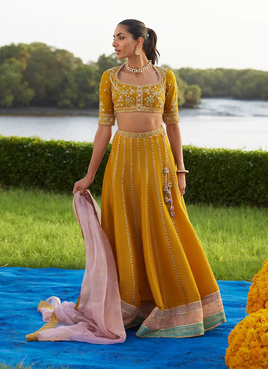 Farah Talib Aziz Mayna Festive Luxe Pret '25 - Zard Lengha Choli