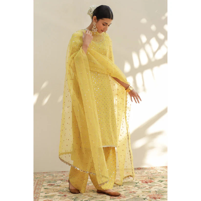 YELLOW OUTFIT | DYOT | Sheesham' 24
