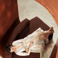PALE CORAL | E1118/104/329 | women Boutique- Eid Collection | Ethnc