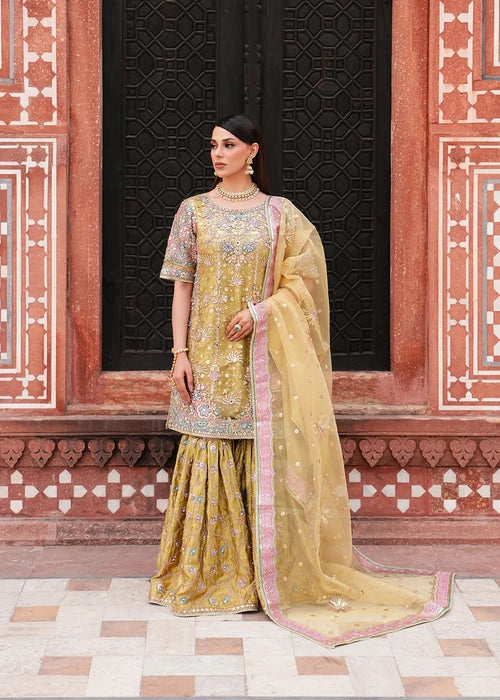 ZEENAT | Haseens