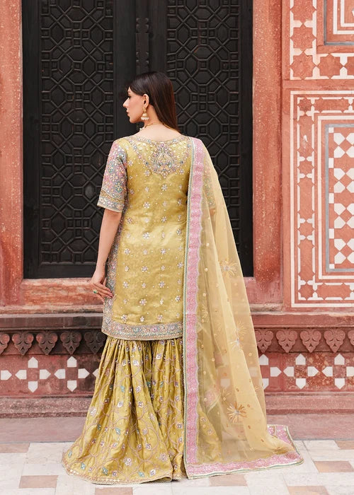 ZEENAT | Haseens