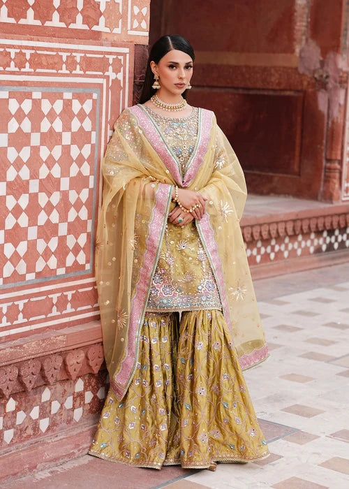 ZEENAT | Haseens