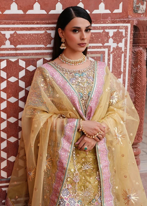 ZEENAT | Haseens