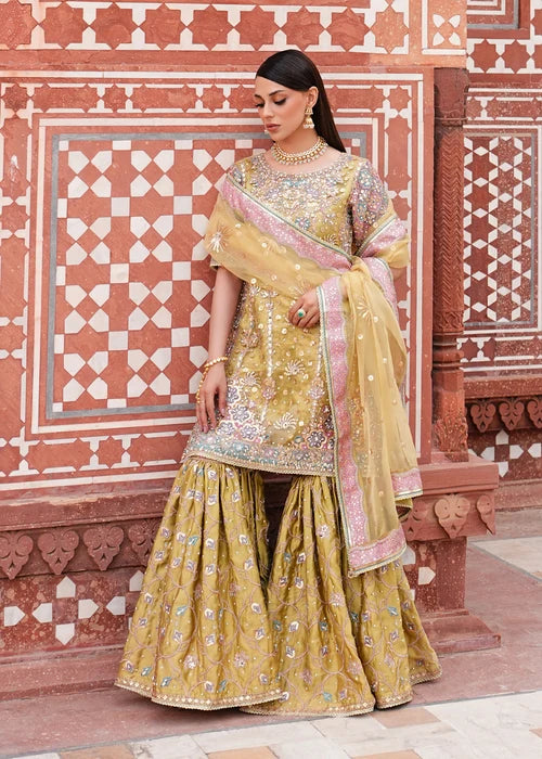 ZEENAT | Haseens