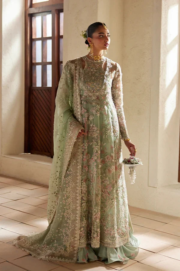 Suffuse Freeshia RTW '26 - Calene