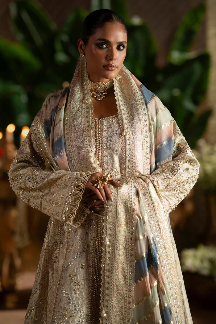 Saad Bin Shahzad Laavni '25 - Sophia