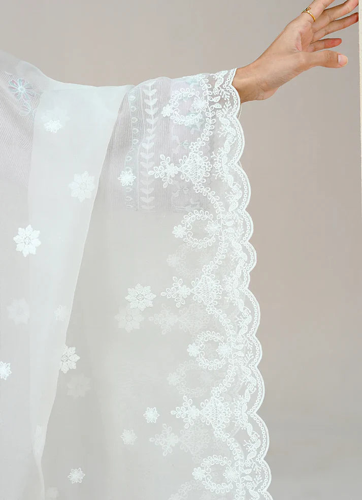 15297/501/105 | Embroidered Dupatta | IMAGE