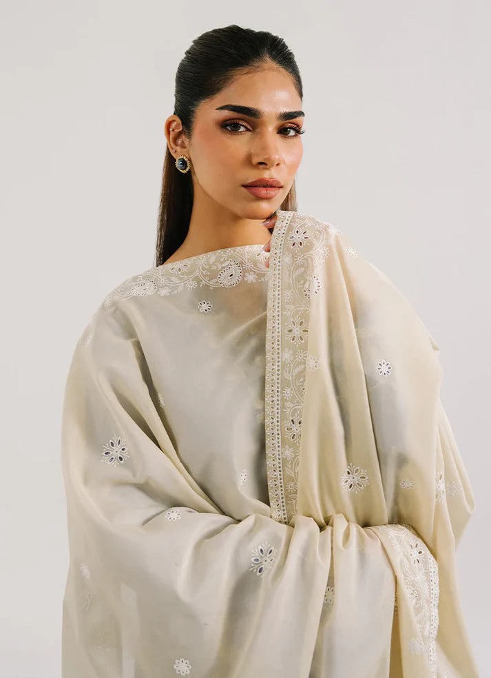 15672/151/107 | Embroidered Dupatta | IMAGE