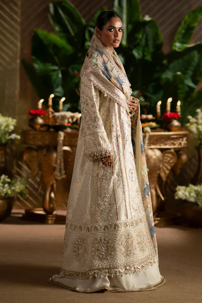 Saad Bin Shahzad Laavni '25 - Sophia