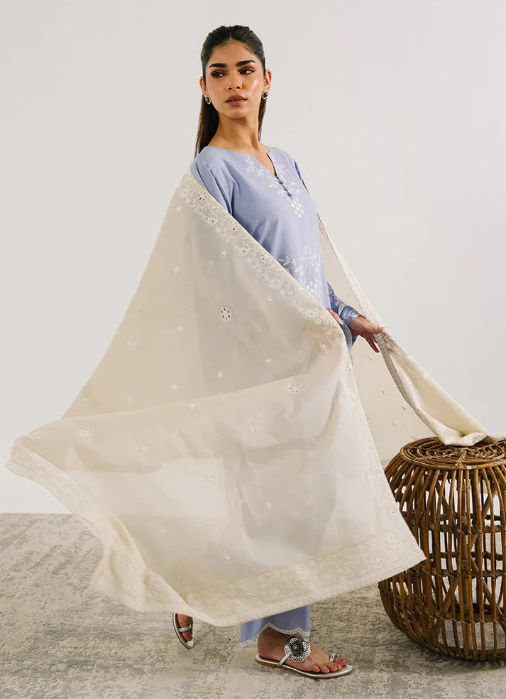 15672/151/107 | Embroidered Dupatta | IMAGE