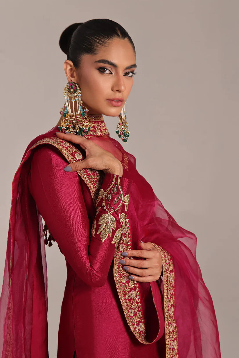 Petrel | Wajahat Mansoor