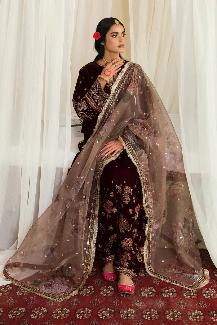 Baroque Velvet '25 - EMBROIDERED VELVET SF-250