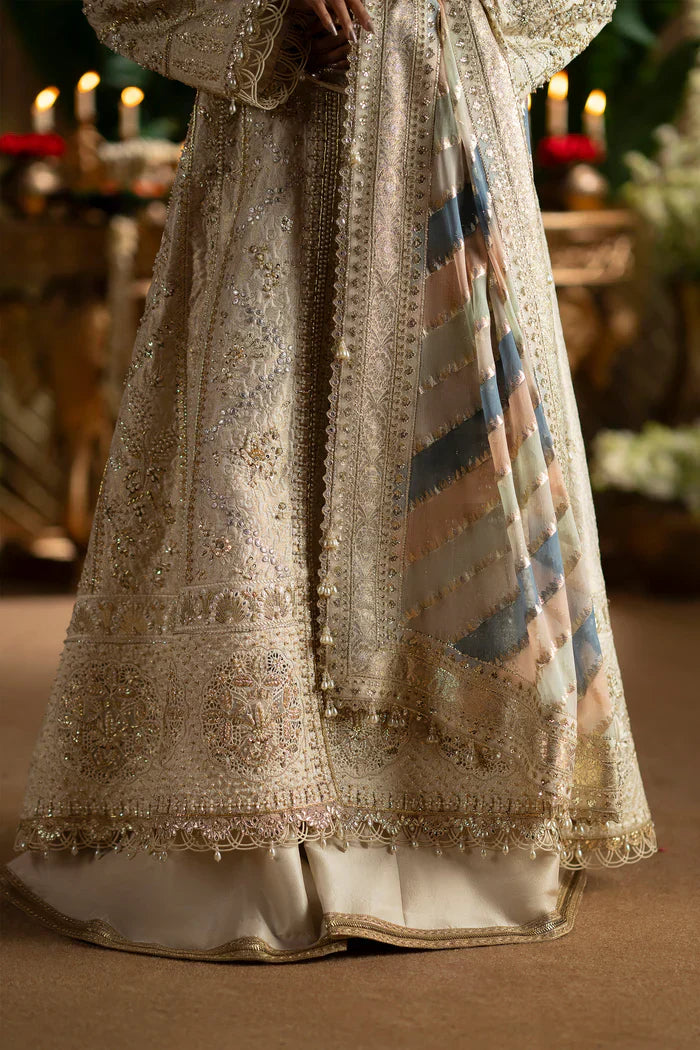 Saad Bin Shahzad Laavni '25 - Sophia