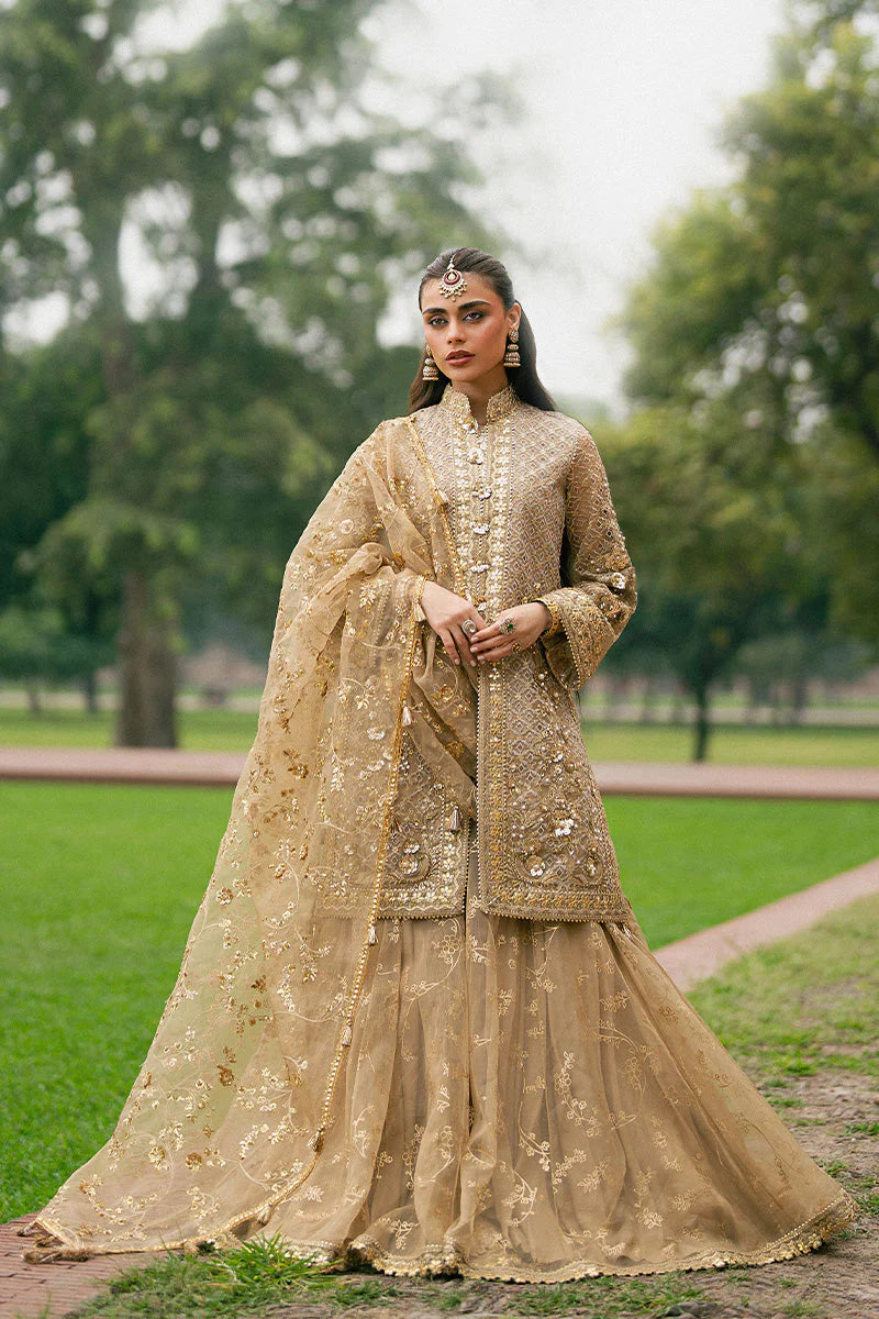 ROSHNI | Mohsin Naveed Ranjha