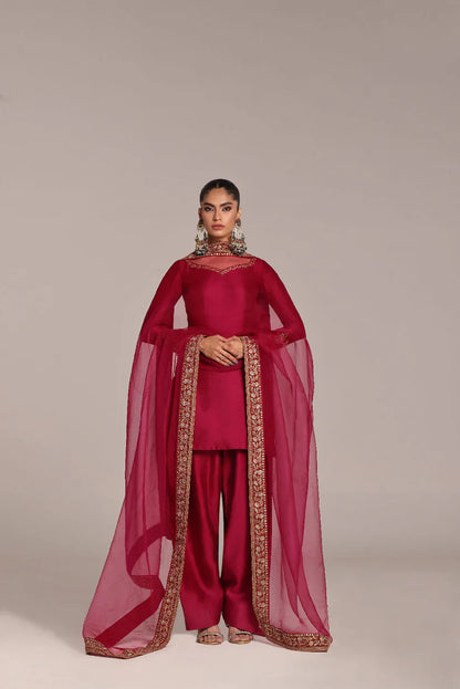 Petrel | Wajahat Mansoor
