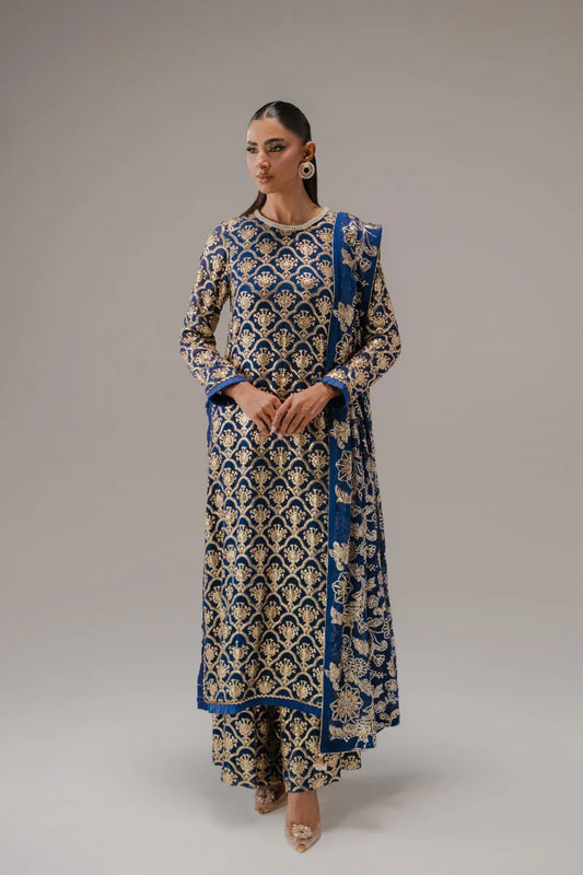 Anum Rajwani Festive Wear ‘26 - AR-0001031
