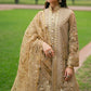 ROSHNI | Mohsin Naveed Ranjha