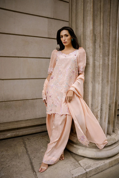 Rosé Sobia Nazir - Nimr '26