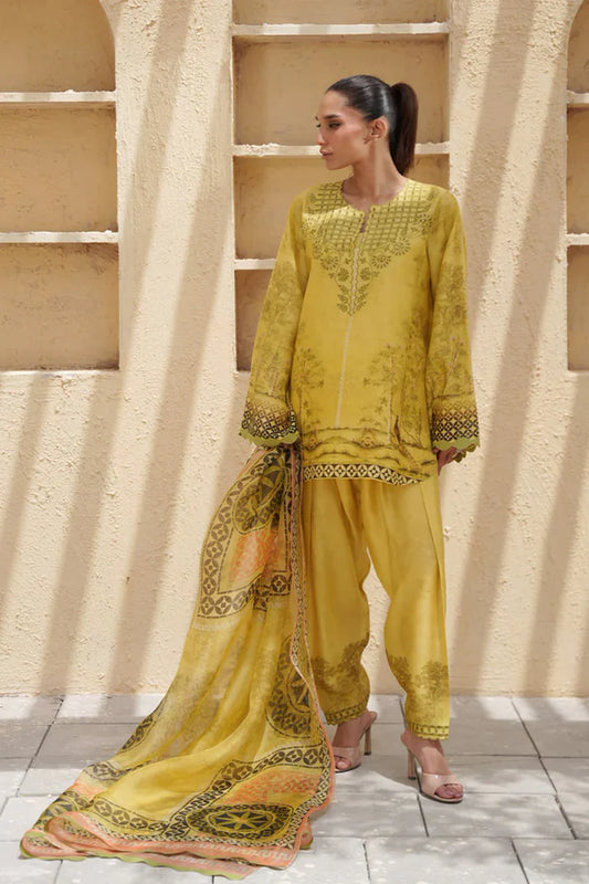 Sena | Eid ul Adha '26 | Sania Maskatiya