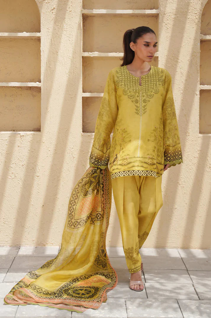 Sena | Eid ul Adha '26 | Sania Maskatiya