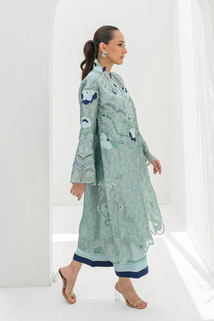 Raisa | Nadia Farooqui