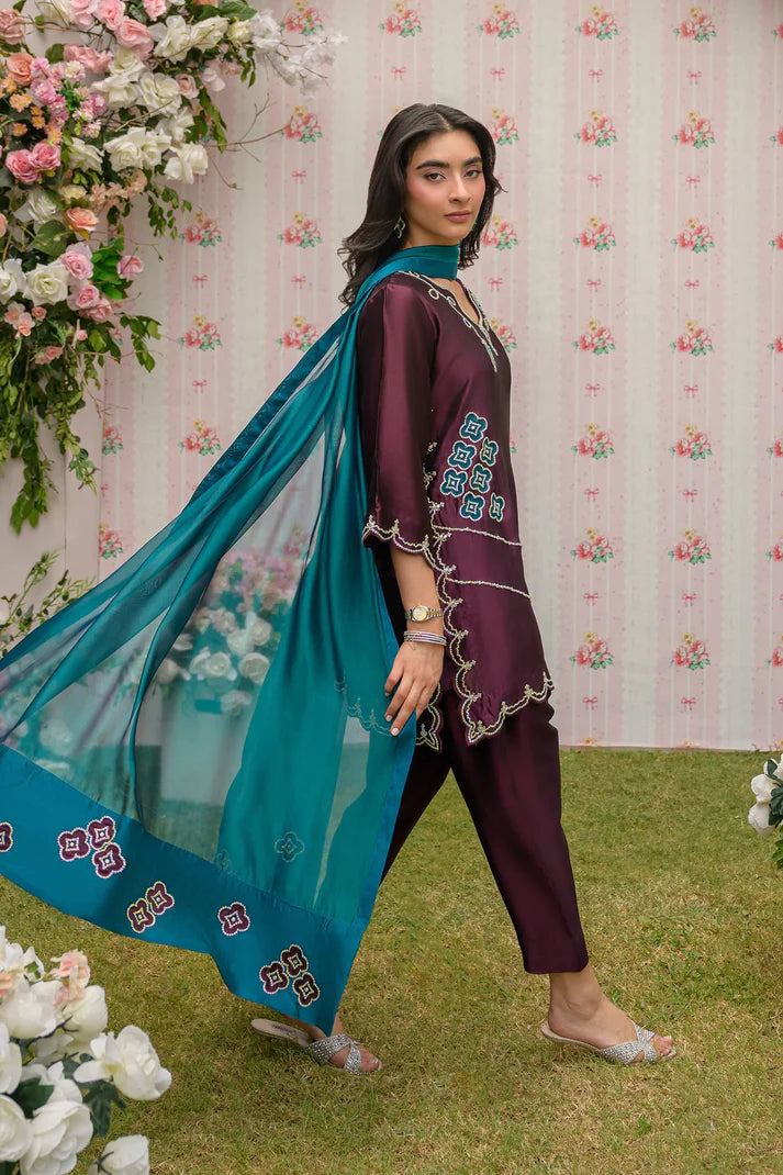 Raspberry Jam | Siara Eid Luxe '26 | Flairs Studio