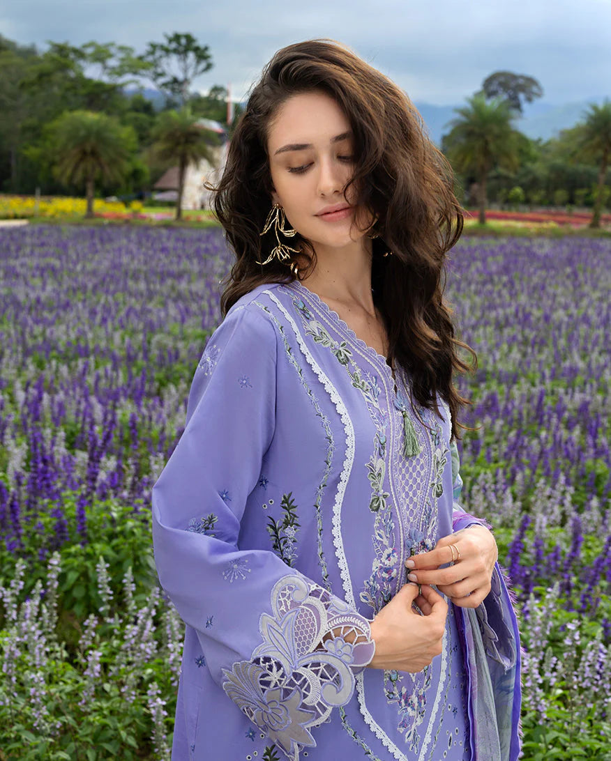 Mushq | Daisy Reverie