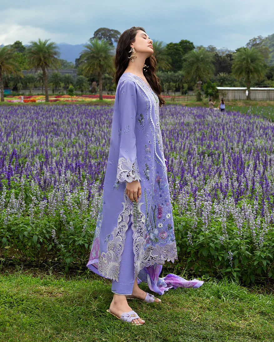 Mushq | Daisy Reverie