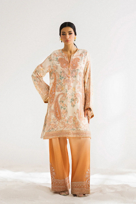 Ethnc Boutique '25 - EMBROIDERED SUIT - E0798/104/227