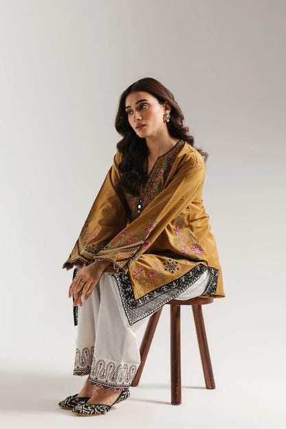 EMBROIDERED SUIT (E4220/103/217)