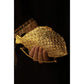 FISH CLUTCH | DYOT | ACCESSORIES