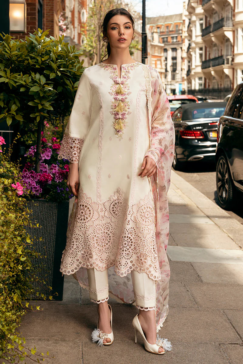 Mushq Hemline Odyssey | MOCHA MUSE