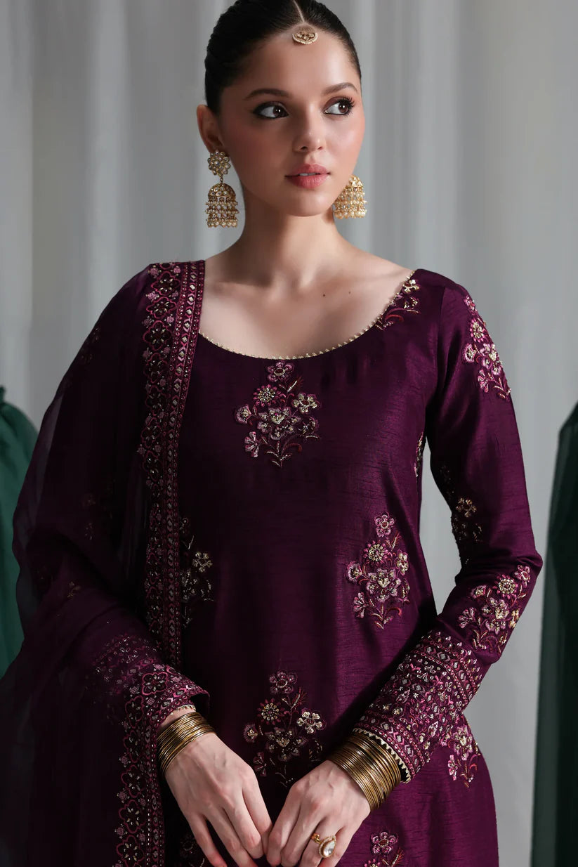 DEEP PLUM LUXURY WEDDING EDIT 2025 (NPA3-25437) | ZAIB