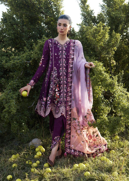 Lyla | Jinan'26 | HUSSAIN REHAR
