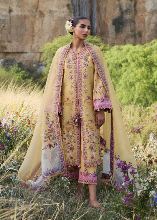 Sonal | Jinan'26 | HUSSAIN REHAR