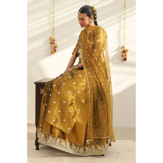 Golden Outfit | Festive' 26 | DYOT Regular