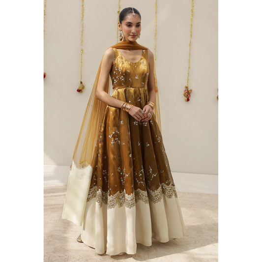 Golden Tissue Anarkali | Festive' 26 | DYOT