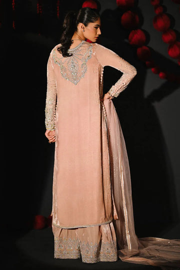 Ansab Jahangir So Hot - Luxury Velvets '25 - Nooreh