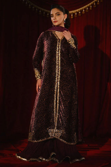 Ansab Jahangir So Hot - Luxury Velvets '25 - Sabeen