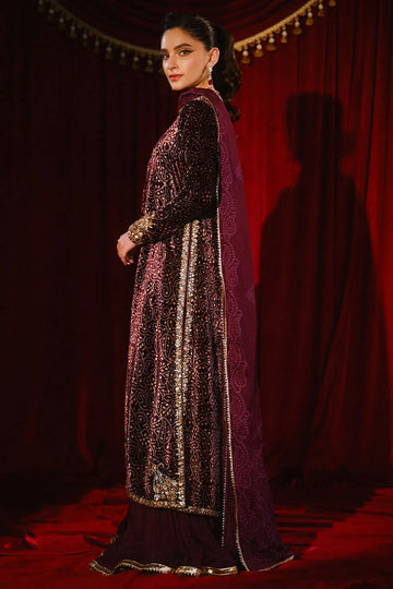 Ansab Jahangir So Hot - Luxury Velvets '25 - Sabeen