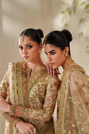 Baroque Unstitched Chantelle '25 - EMBROIDERED NET CH14-02