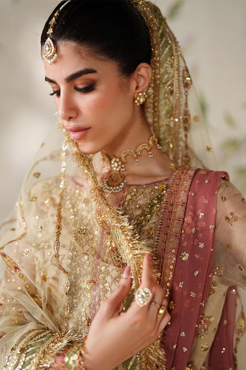 Baroque Unstitched Chantelle '25 - EMBROIDERED NET CH14-02