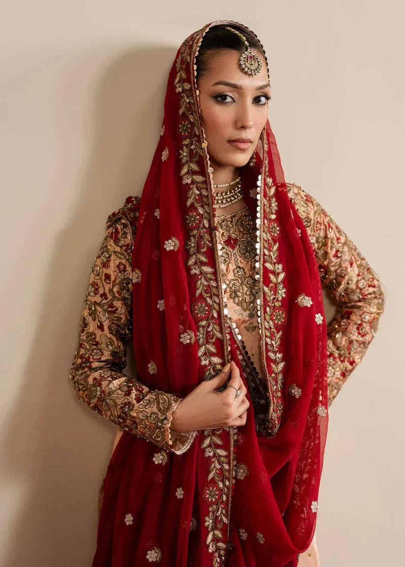 Shaan | New Arrivals | Haseens