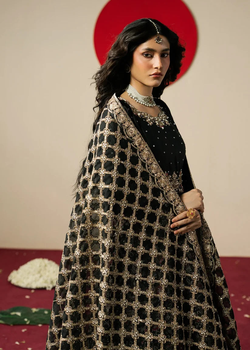 Gulrang | Gulal | Haseens