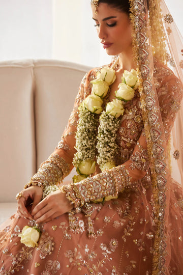 Zaha Gossamer Wedding Festive '25 - Gul-E-Mahnoor (Zc25-08)