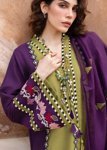 Crimson Mitti Winter '25 - Rani Vogue