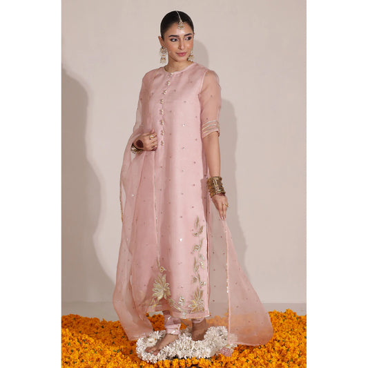 Blush Pink Outfit | Champa' 24 | DYOT