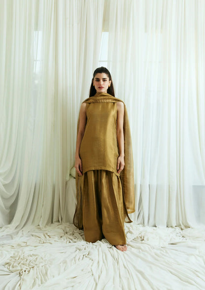 AMARI | Iqra F. Chaudhry