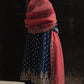 PARIZAAD | STUDIO PORTRAITS | Zara Shahjahan